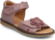 Flower Velcro Sandal Shoes Summer Shoes Sandals Purple Pom Pom