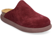 Sl Ivy Suede Aubergine Shoes Mules & Slip-ins Flat Mules Burgundy Scholl
