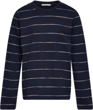 Multicolor Striped Longsleeve T-shirts Long-sleeved T-shirts Marineblå Tom Tailor*Betinget Tilbud