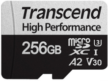 microSDXC 256GB U3 (R100/W85)