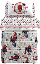 Spider man Wall