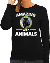 Sweater zwarte panters amazing wild animals / dieren trui zwart voor dames