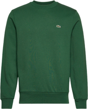 Lacoste Sweatshirt Brushed Regular Fit Green