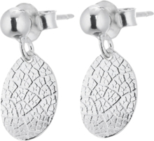 Leaf Drop Studs Accessories Jewellery Earrings Studs Sølv Drakenberg Sjölin*Betinget Tilbud