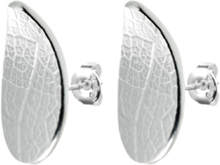 Leaf Drop Studs Fixed Accessories Jewellery Earrings Studs Sølv Drakenberg Sjölin*Betinget Tilbud