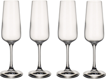 Villeroy & Boch - Ovid champagneglass 25 cl 4 stk