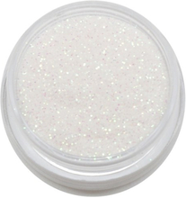 Aden Glitter Powder Glitter White 05