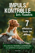 Impulskontrolle bei Hunden: 7 effektive Tools im Alltag