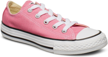 Yths C/T Allstar Ox Pink Shoes Sneakers Canva Sneakers Pink Converse