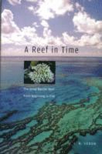 A Reef in Time