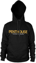 Penthouse Magazine Logo Hoodie, Hoodie