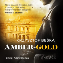 Amber Gold. Detektyw Stanisław Berg. Tom 1