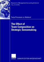The Effect of Team Composition on Strategic Sensemaking