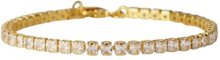 Gold/Crystal Caroline Svedbom Zara Bracelet Armbånd