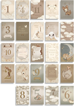 Baby´s First Year Cards 24 set, Mrs. Mighetto