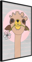Inramad Poster / Tavla - Cute Llama - 20x30 Svart ram