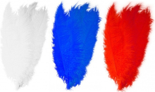 6x stuks grote veer/struisvogelveren 2x wit 2x blauw en 2x rood van 50 cm