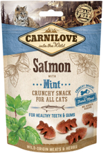 Carnilove Crunchy Snack Salmon With Mint Kattgodis - 50 g