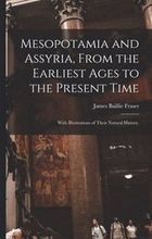Mesopotamia and Assyria, From the Earliest Ages to the Present Time; With Illustrations of Their Natural History.