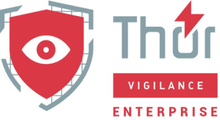 Heimdal Thor Vigilance Enterprise /usr 1y Subs Lic 100-499 Usr 1 år Licensabonnemet