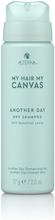 Alterna My Hair My Canvas - Another Day Dry Shampoo 57g