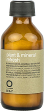 Oway Plant & Mineral refresh Dry Shampoo 36 g