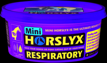 Horslyx Slicksten Respiratory 650 g