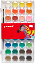 Penol Standard Akvarellfärg 36-Pack