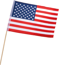 USA Flagga - American Party