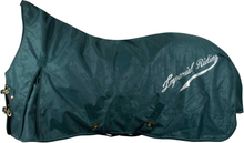 Imperial Riding Outdoor Blanket IRHSuper-dry 50 g Hästtäcke - Forest Green (145 cm)