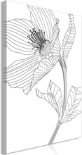 Billede - Spring Sketch Lodret 40 x 60 cm