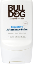 Sensitive After Shave Balm 100 Ml Beauty MEN Shaving Products After Shave Nude Bulldog*Betinget Tilbud