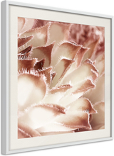 Plakat - Floral Calyx - 20 x 20 cm - Hvid ramme med passepartout