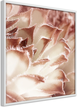 Plakat - Floral Calyx - 20 x 20 cm - Hvid ramme