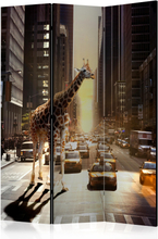 Skærmvæg - Giraffe in the Big City 135 x 172 cm