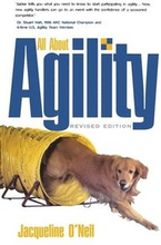 All about Agility