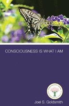Consciousness is What I am