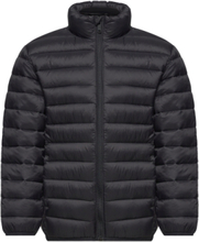 Quilted Jacket Outerwear Jackets & Coats Quilted Jackets Black Mango