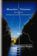 Mouches Volantes - Eye Floaters as Shining Structure of Consciousness