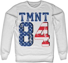 TMNT USA 1984 Sweatshirt, Sweatshirt