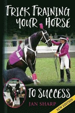 Trick Training Your Horse To Success