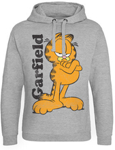 Garfield Epic Hoodie, Hoodie