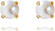 Classic Stud Earring Gold Accessories Jewellery Earrings Studs Gull Caroline Svedbom*Betinget Tilbud