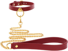 Taboom O-Ring Collar & Chain Leash Halsband & koppel