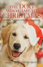 The Dog Who Came to Christmas And Other True Stories of the Gifts Dogs Bring Us
