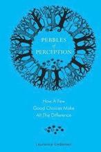 Pebbles of Perception: How a Few Good Choices make All the Difference
