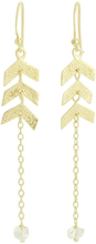 Golden Direction Herkimer Diamond Earrings