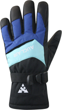 Auclair Auclair Frost Glove Junior Black/Blue/Blue Skidhandskar S