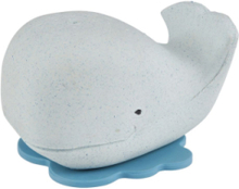 Whale Bath Toy Toys Bath & Water Toys Bath Toys Blå HEVEA*Betinget Tilbud