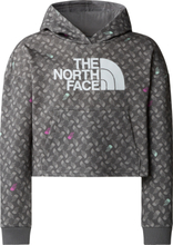 The North Face The North Face Girls' Light Drew Peak Printed Hoodie Smoked Pearl TNF Shadow Langermede trøyer XS
